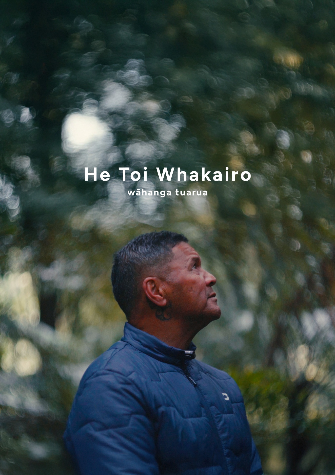 He Toi Whakairo II